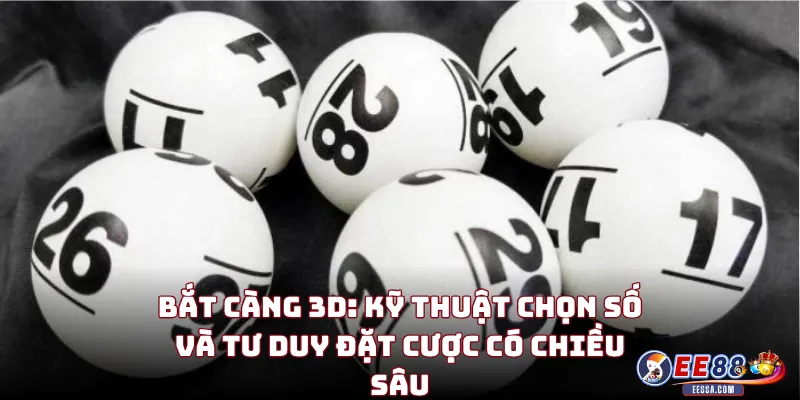 Bắt Càng 3D: Kỹ Thuật Chọn Số Và Tư Duy Đặt Cược Có Chiều Sâu