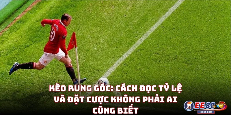 Kèo Rung Góc: Cách Đọc Tỷ Lệ Và Đặt Cược Không Phải Ai Cũng Biết